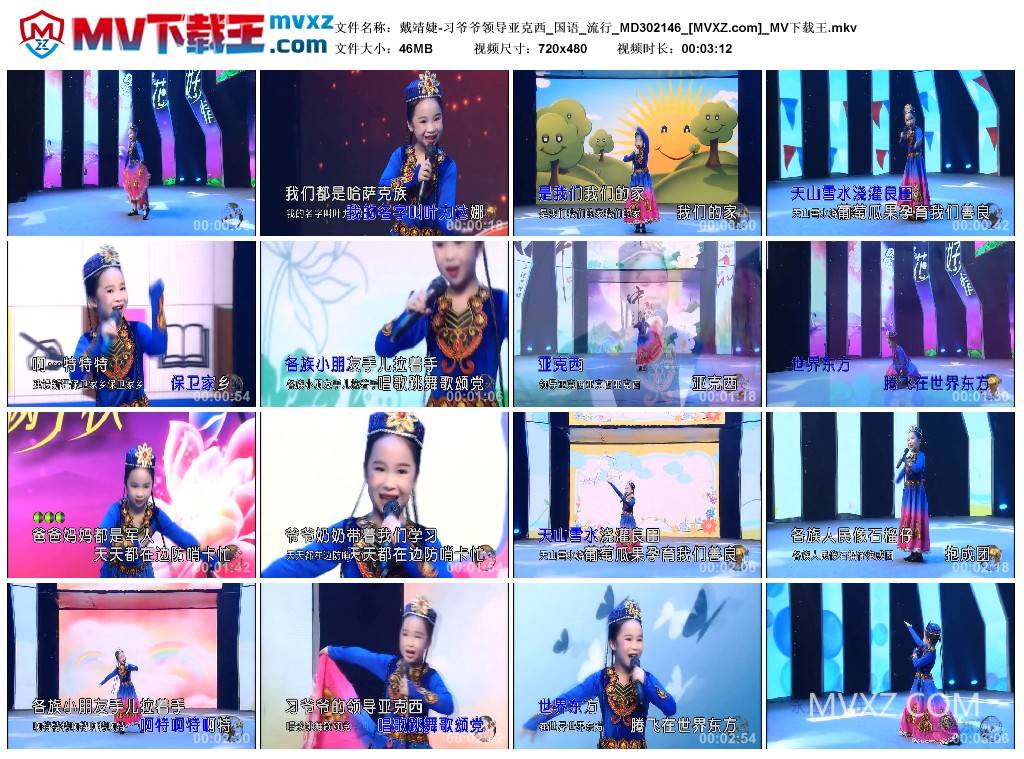 戴靖婕-习爷爷领导亚克西_国语_流行_MD302146